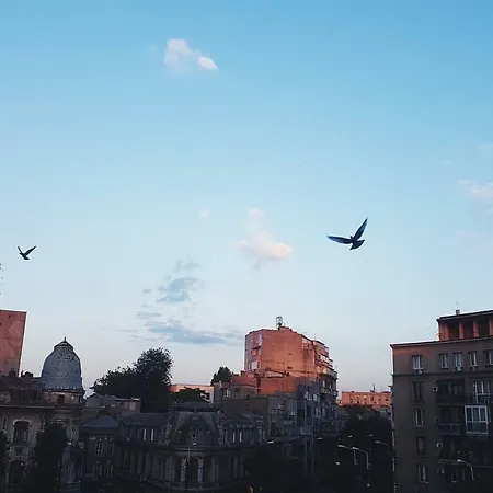Central Cismigiu Garden Apartment *